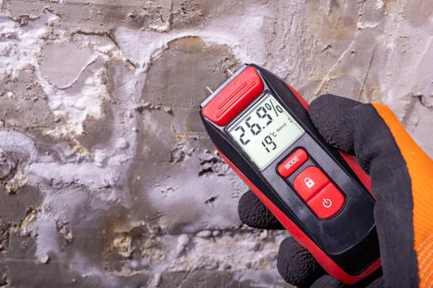 Best Professional Mold Removal  in Hebron, PA
