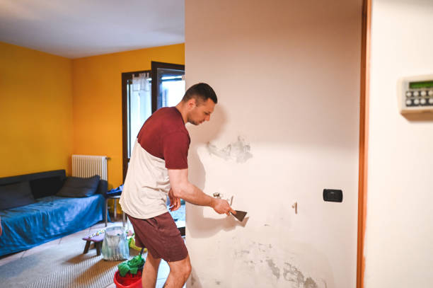 Best Residential Mold Removal  in Hebron, PA
