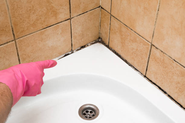 Crawl Space Mold Removal in Hebron, PA